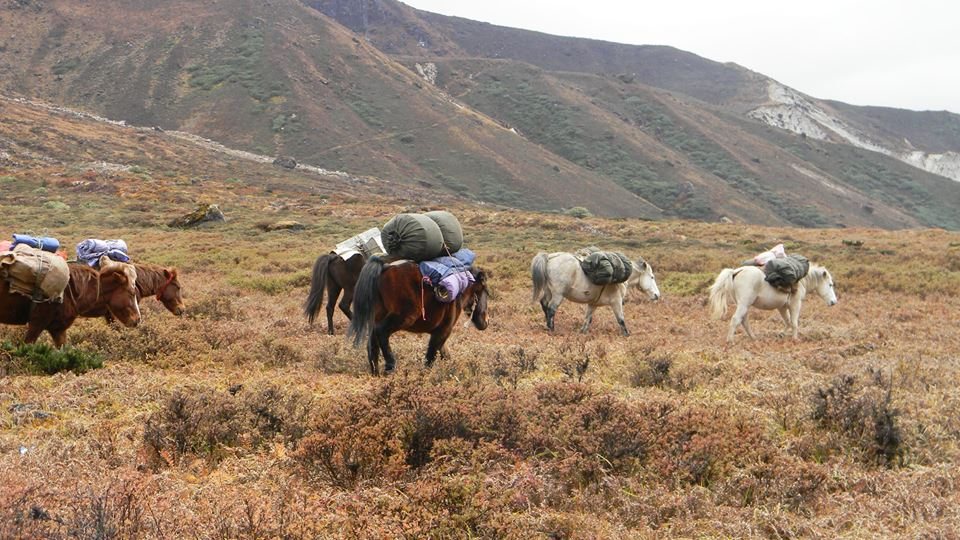 Goechala Trek gallery photo 1