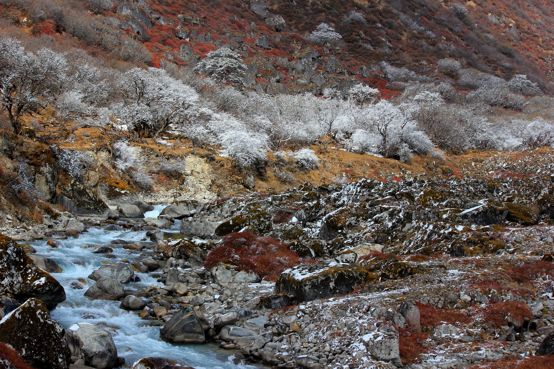 Goechala Trek gallery photo 3